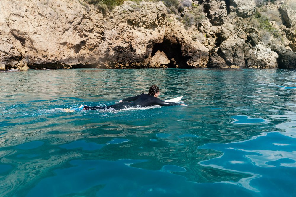 swim with dolphins hurghada