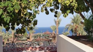 el sharm sheikh hotels