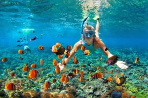 Utopia Island Snorkeling Trip Hurghada coral reef