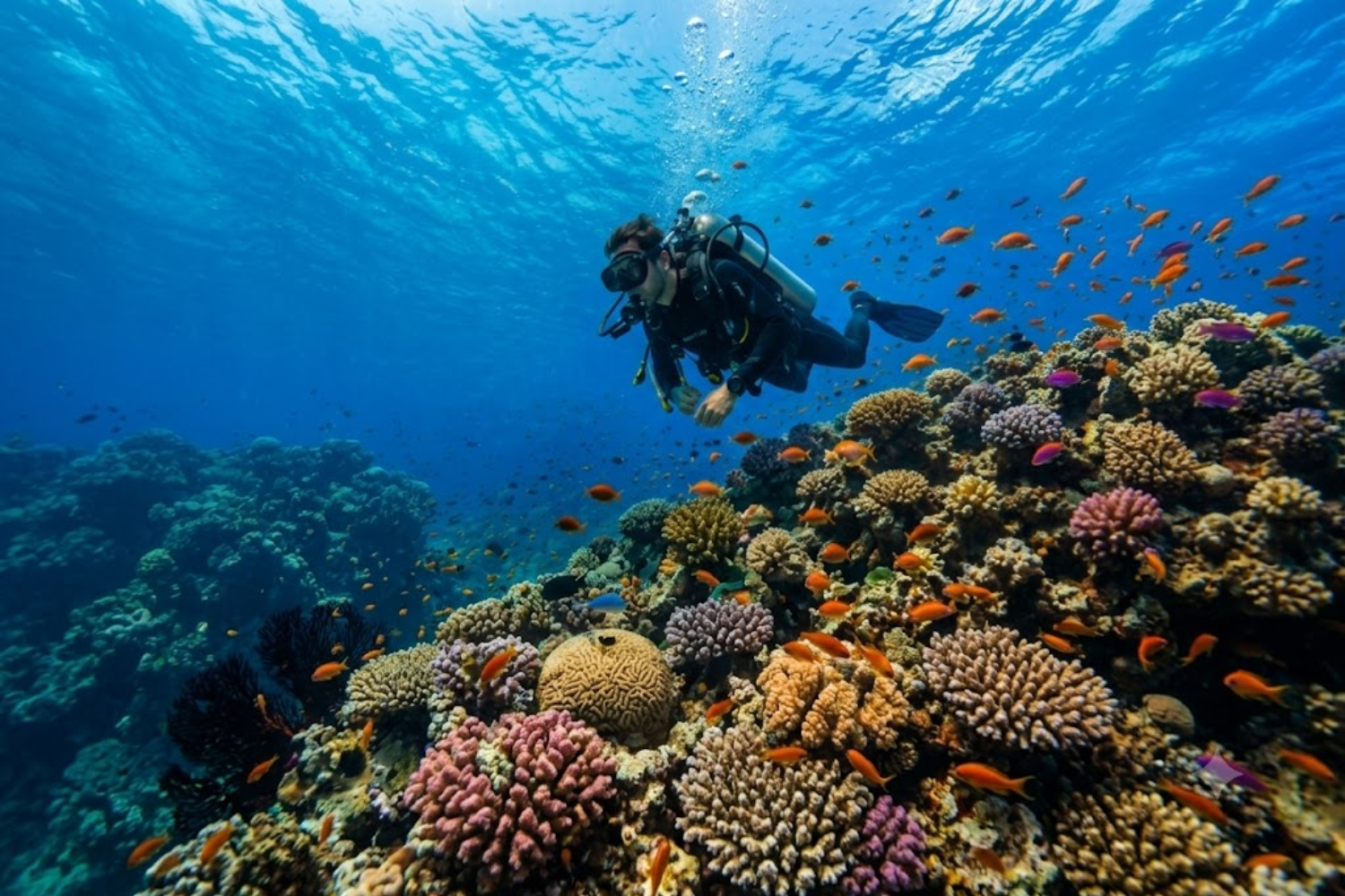 Scuba diving adventure in Hurghada