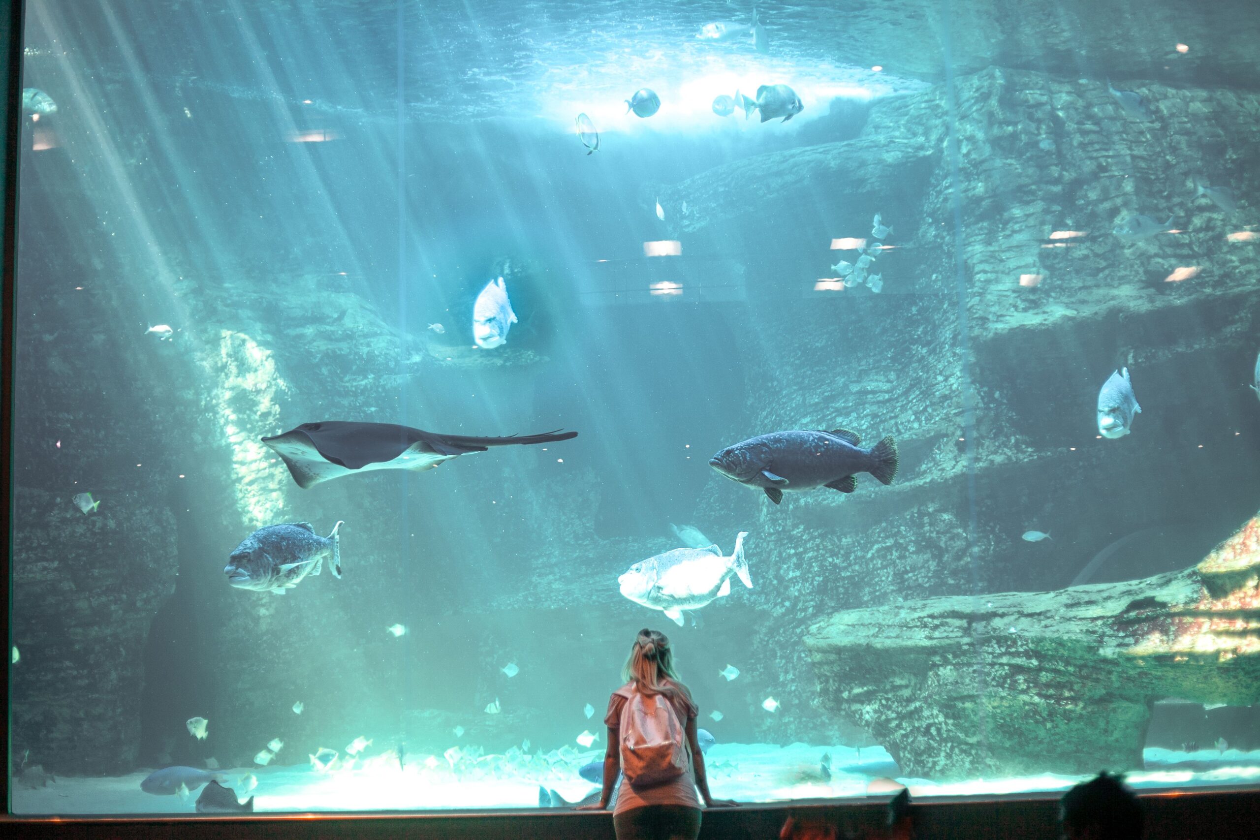 Hurghada Grand Aquarium